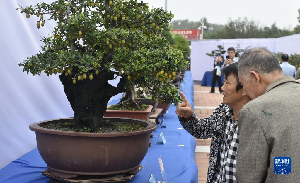 微乐斗地主电脑版八喜牌